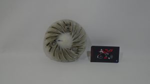 VENTILADOR MOTOR HONDA PCX 125 2010- 2014